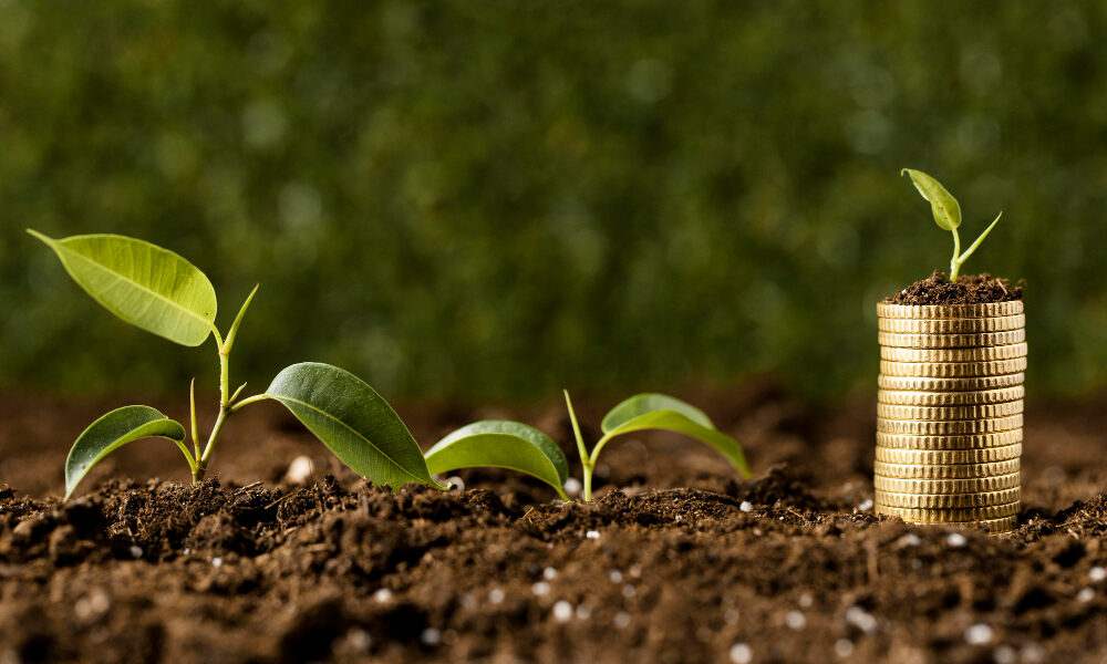 agriculture investment