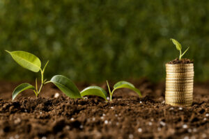 Agriculture Investment