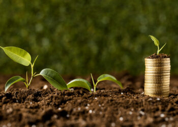 agriculture investment