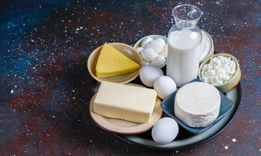 dairy products investment