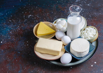 dairy products investment