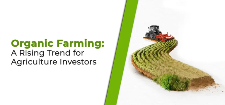 Organic Farming: A Profitable Trend for Agri Investors