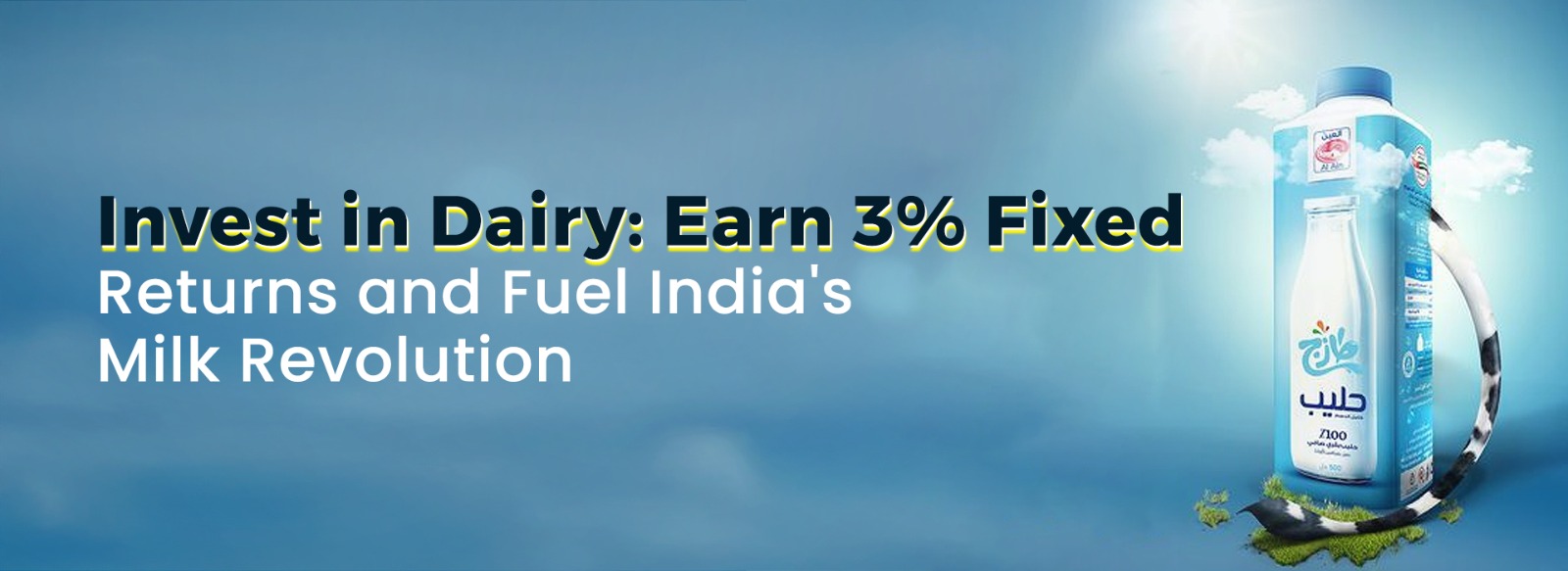 Expert Financial Guidance