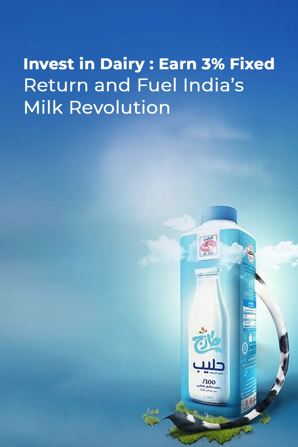 Expert Financial Guidance